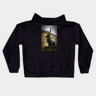 French stag Kids Hoodie